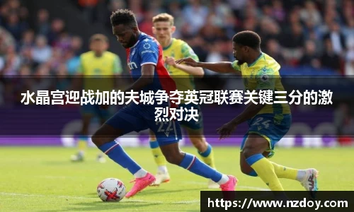 水晶宫迎战加的夫城争夺英冠联赛关键三分的激烈对决