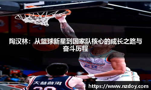 南宫28官网